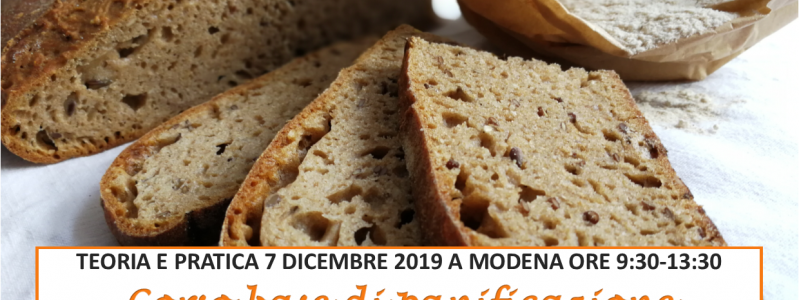 PANE BUONO DA GRANI ANTICHI PANE BUONO DA GRANI ANTICHI