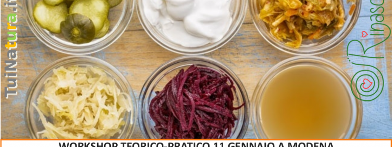 CIBI FERMENTATI PER LA SALUTE! CIBI FERMENTATI PER LA SALUTE!