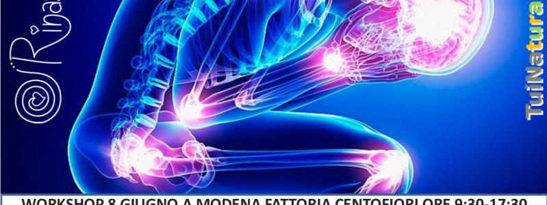 FIBROMIALGIA: LE VIE DEL BENESSERE seminario a Modena FIBROMIALGIA: LE VIE DEL BENESSERE seminario a Modena