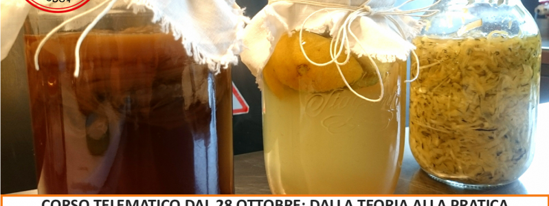CIBI FERMENTATI PER LA SALUTE! web+presenza CIBI FERMENTATI PER LA SALUTE! web+presenza