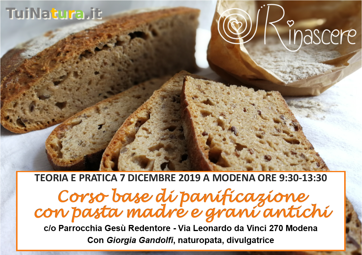 pane buono da grani antichi modena 7 dic 2019