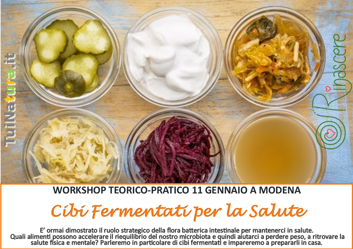 CIBI FERMENTATI PER LA SALUTE!